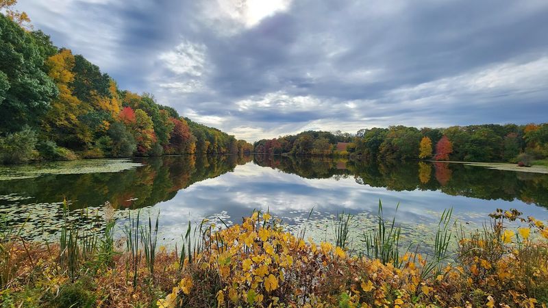 Rockefeller Preserve – Swan Lake Area