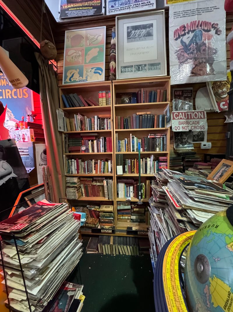 Decades Of Collecting Reflected In Every Section