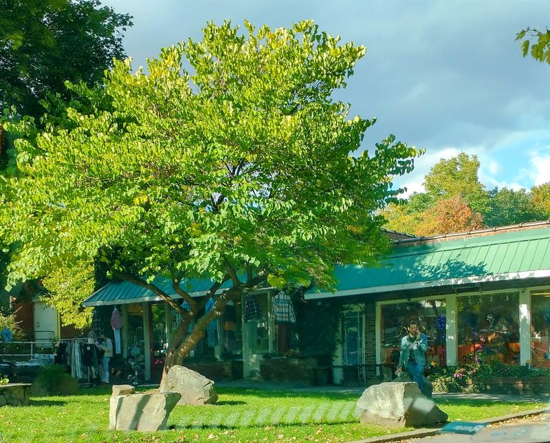 Coffee And Conversation On The Green