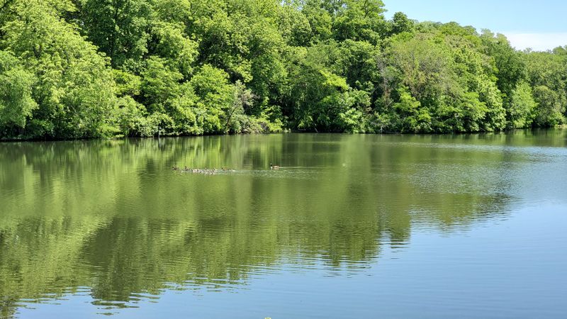 Riverboat And Water-Based Recreation Opportunities