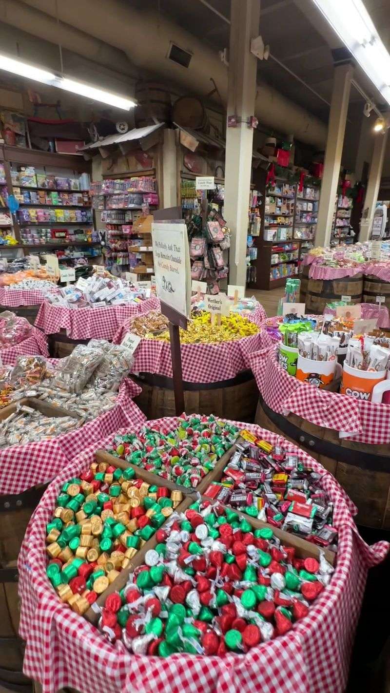 Comfortable Pacing For Families With Kids