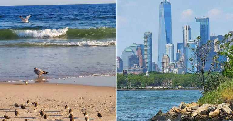 New York’s Quietest Beaches That Tourists Haven’t Found Yet