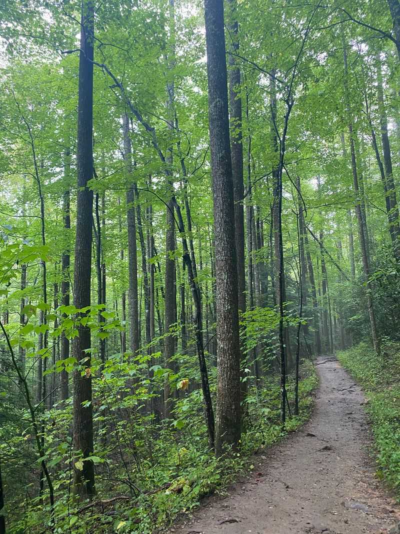 Along The Quiet Edge Of The Park