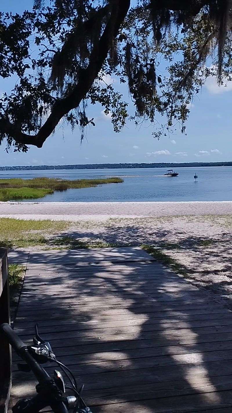 A Real Sandy Swimming Beach On Lake Louisa