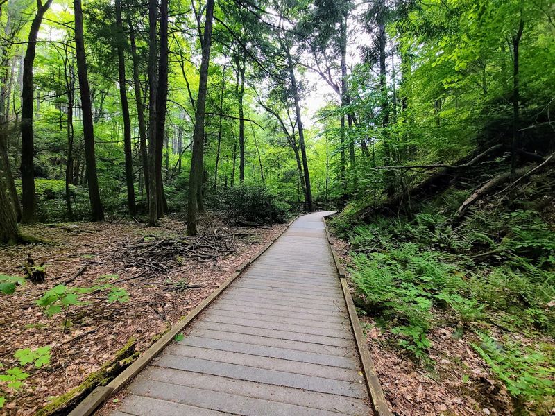 An Easy Boardwalk Trail For All Skill Levels