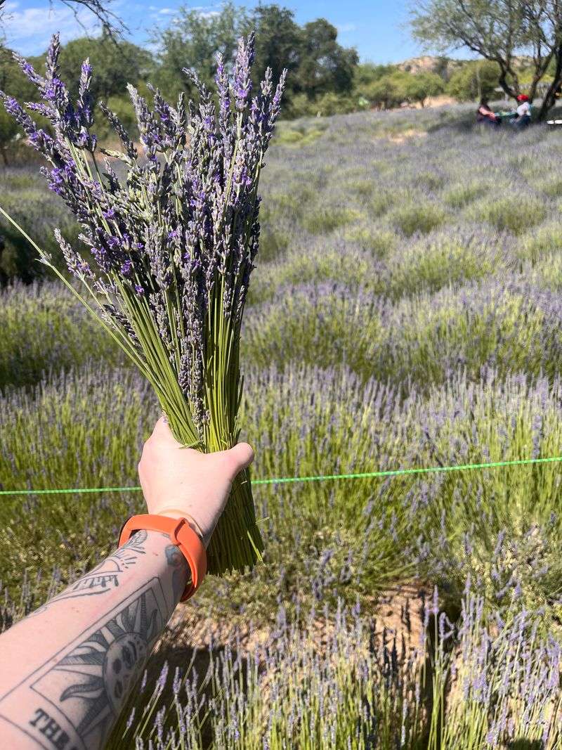 It's The Kind Of Place People Visit For The Feeling, Not Just Photos