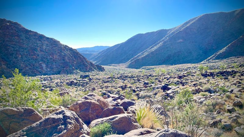 Summer Heat Shapes The Landscape And Visitor Experience