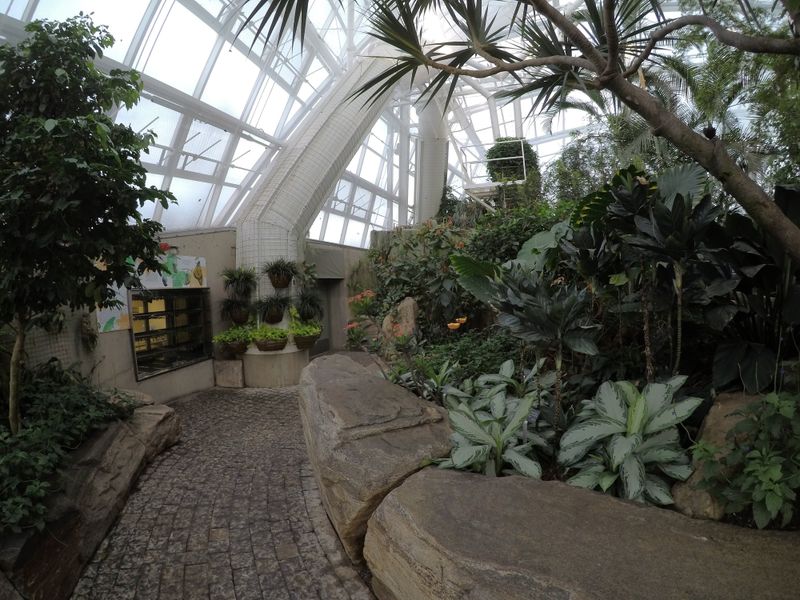 Learning In The Midst Of Leisure