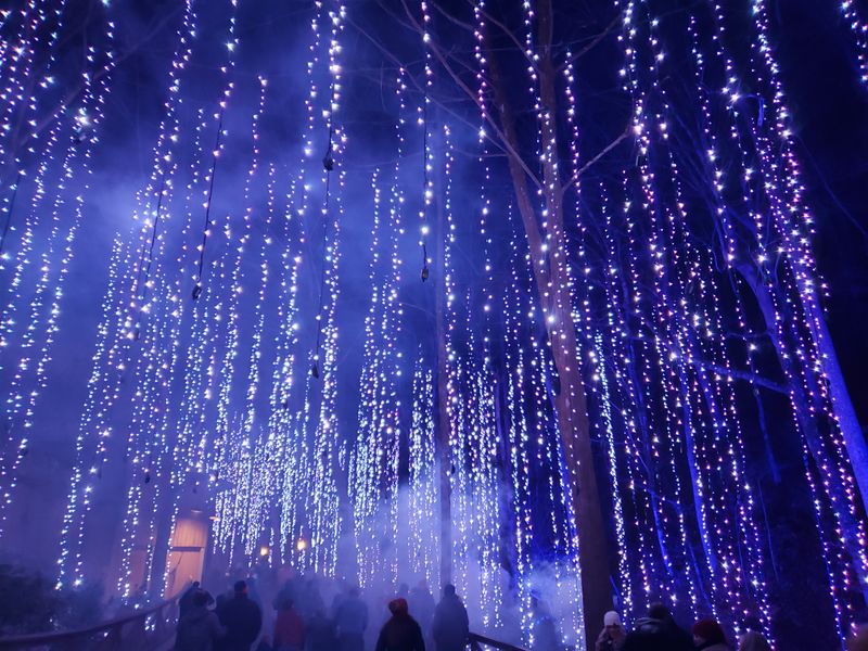 Wandering Wildwood Grove’s Calm Corners