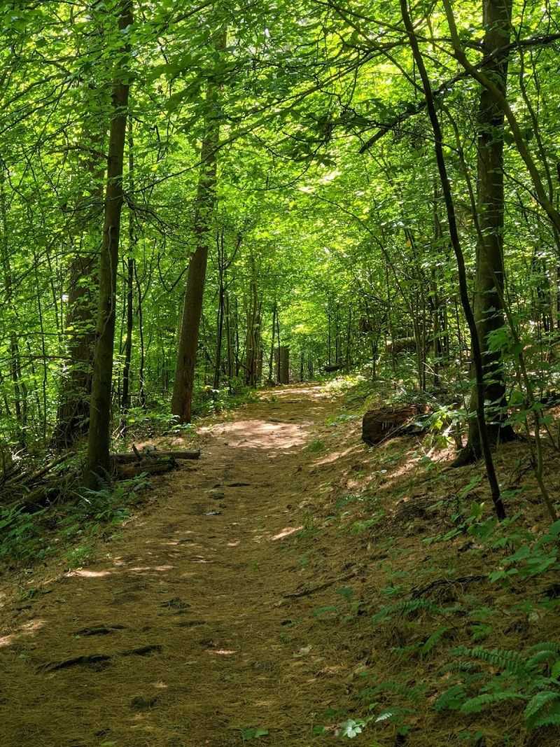 Miles Of Scenic Hiking Trails Through Rolling Hills