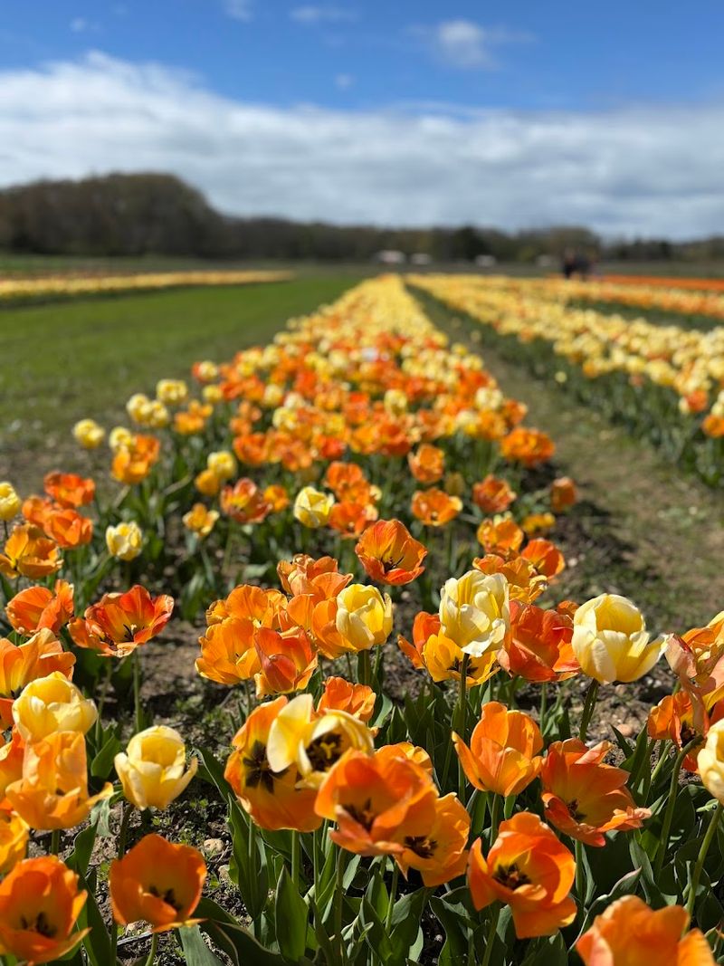 The Addition That Changed Everything