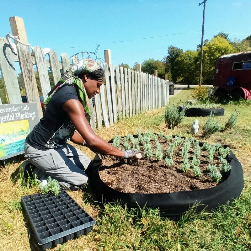 A Lesson In Soil That Actually Works