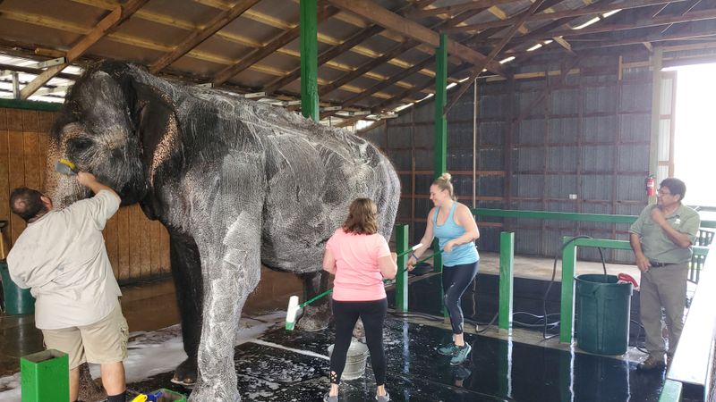 Special Experiences Include Caretaker-For-A-Day Programs