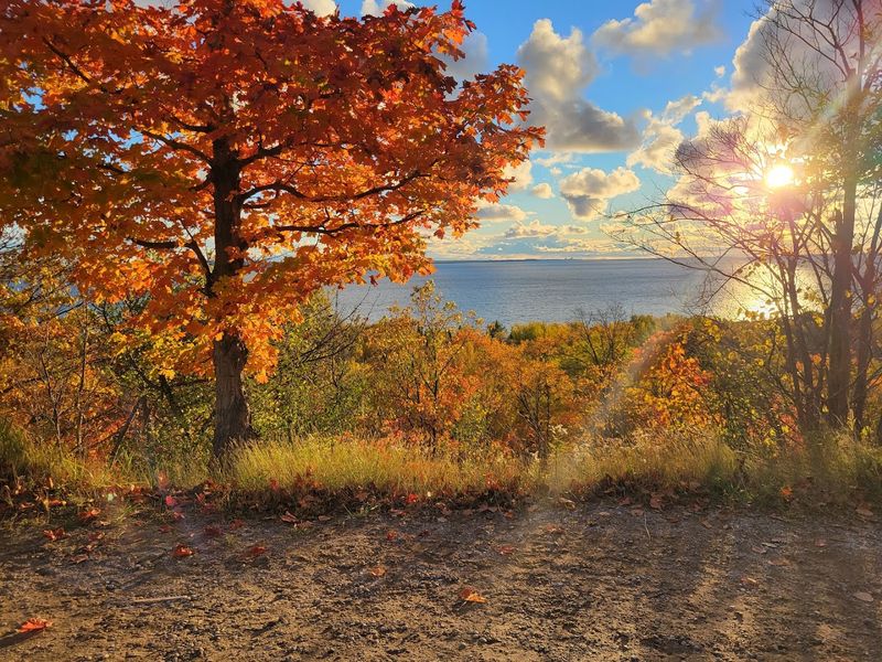 Seasonal Transformations That Keep You Coming Back