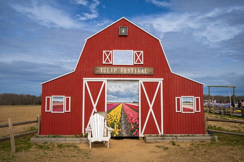 Beyond The Blooms: A Full Day Adventure Awaits