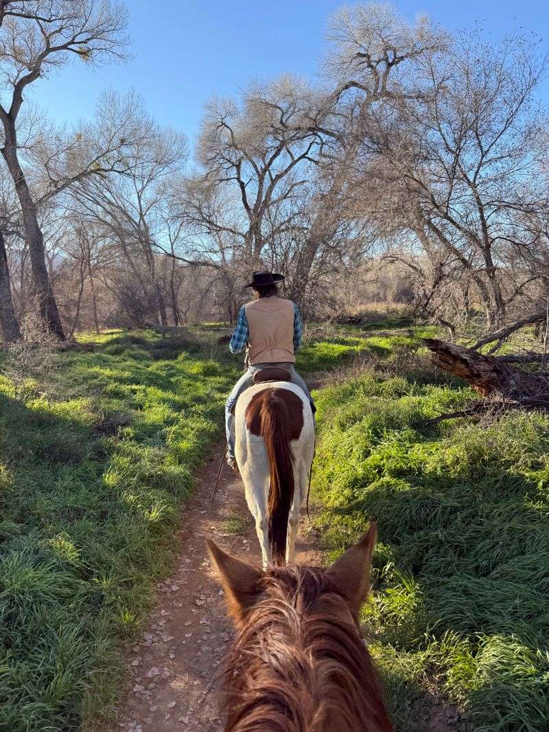 Mountain Bikers Can Explore Miles Of Well-Maintained Singletrack