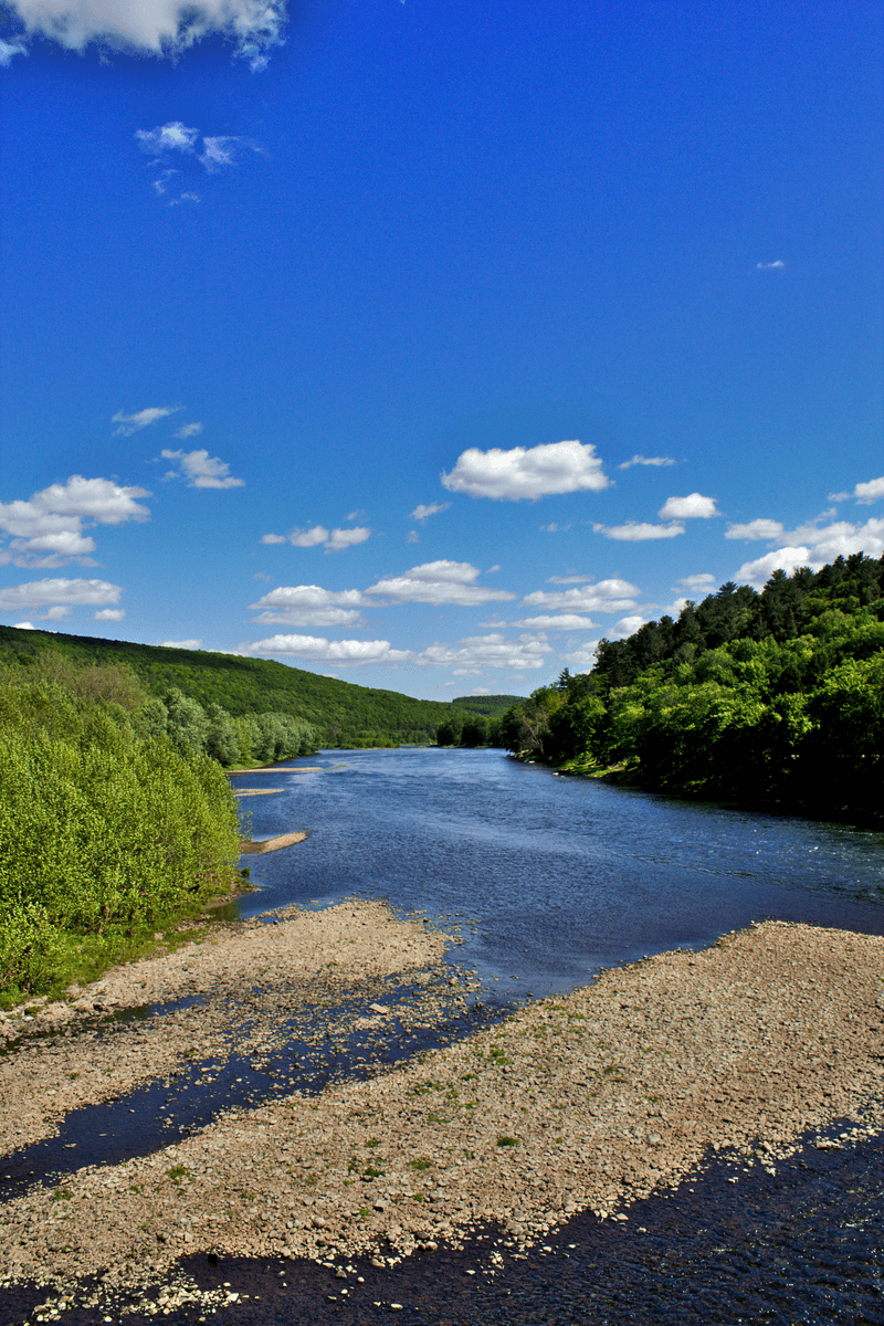 A Bridge For Walking Off Lunch