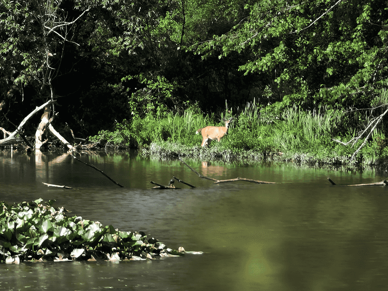 Close To Outdoor Destinations