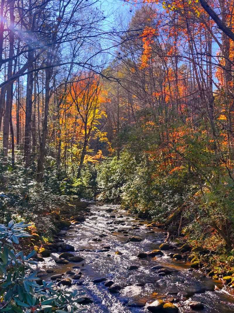 Creeks That Keep Their Appointments