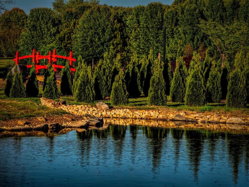 Autumn’s Structure And Winter’s Calm