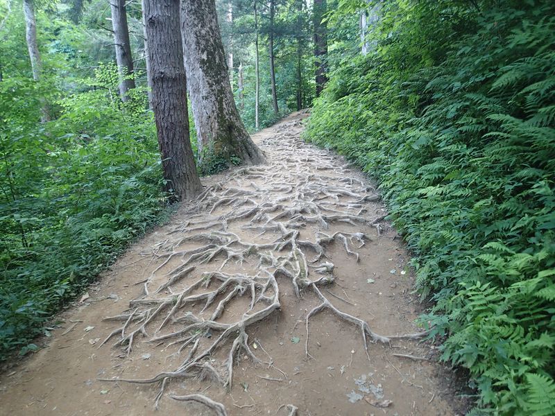 Timing Your Visit With Care