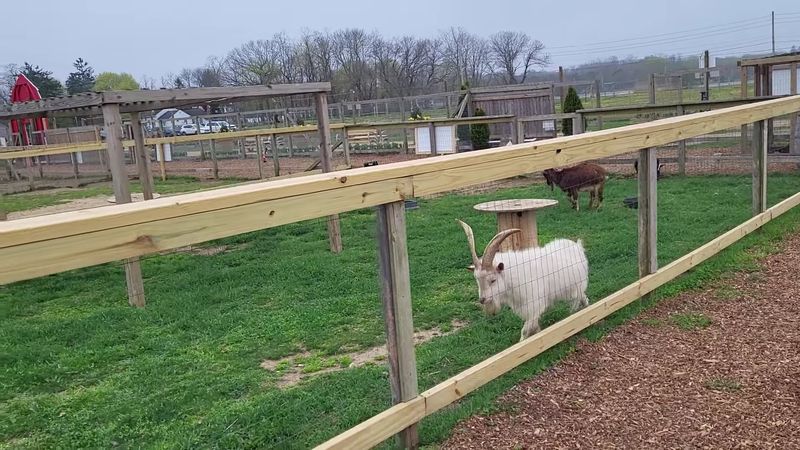 Why This Farm Matters Beyond The Pretty Pictures