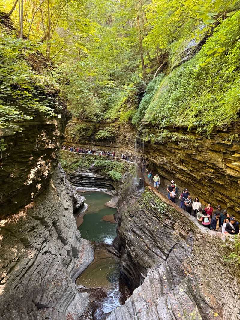 Camping, Picnics, And A Swim