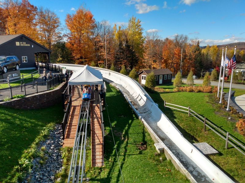 Where Olympic History Threads Through The Trees