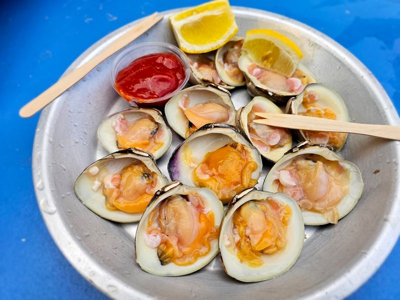 The City Island Alternative Everyone's Discovering