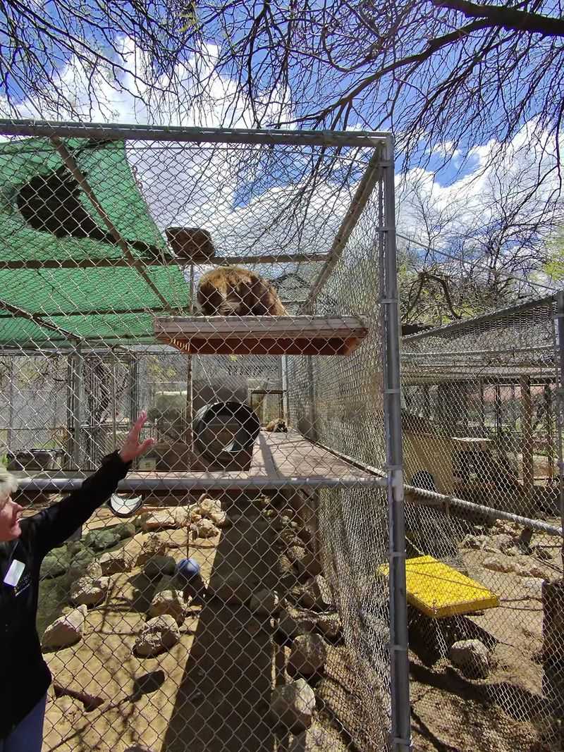Staff And Volunteers Share Animal Rescue Stories