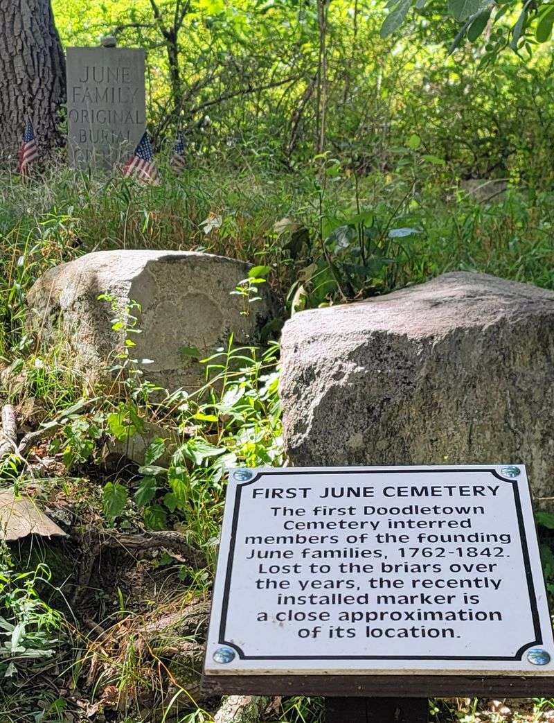 Seasonal Moods Along The Hillside