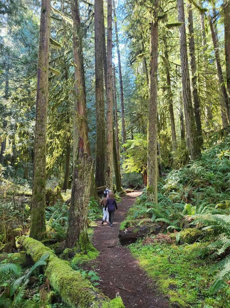 Easy Hiking Trails Suitable For Most Visitors