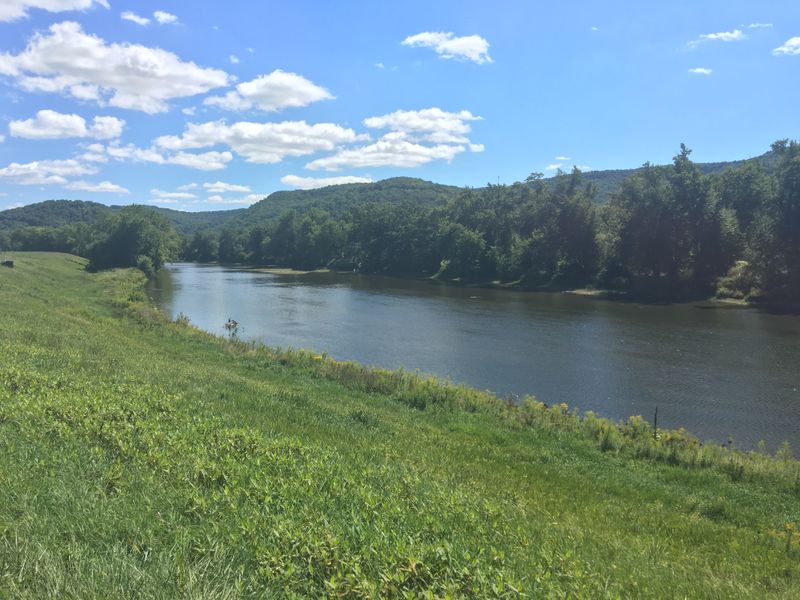 Green Space, River Light, And A Breath You Can Measure