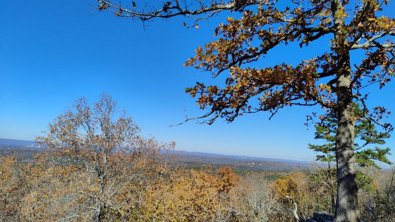 Elevated Vantage Points Reveal Wide, Open Alabama Views