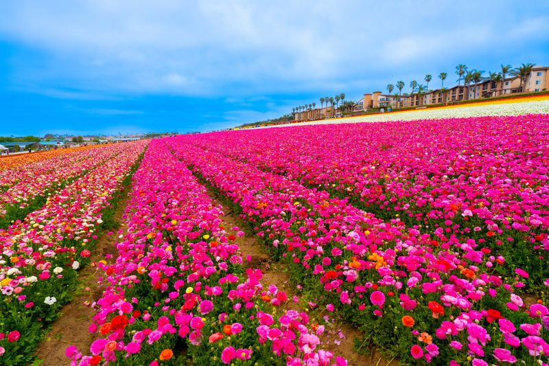 A Carefully Cultivated Landscape That Feels Almost Unreal