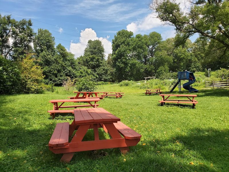 A Birdwatcher's Paradise At Bartram's Garden
