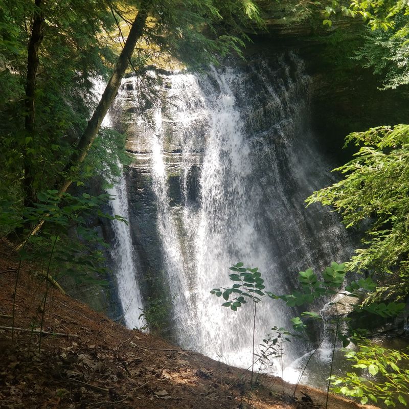 Seasonal Moods Along The Brook