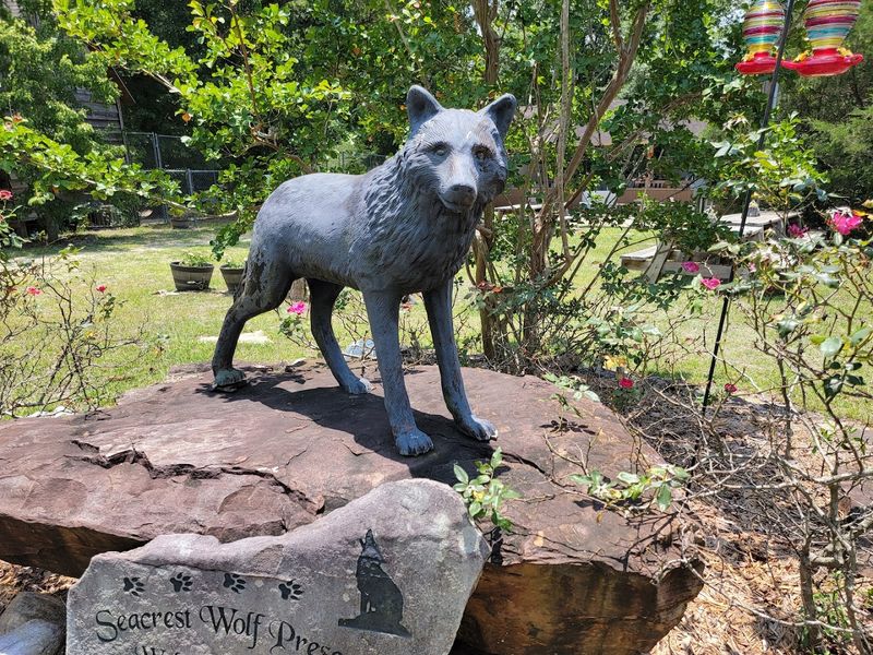 Educational Programs For Groups And Students