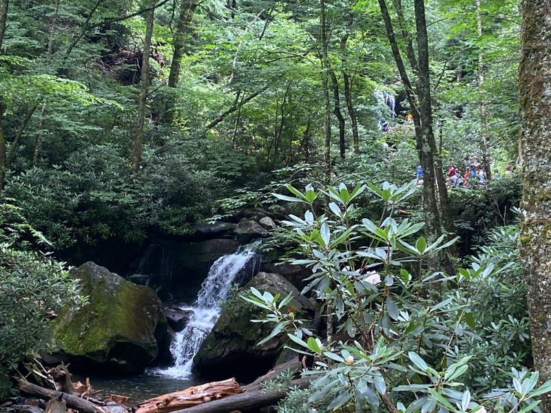 First Sound Of The Falls