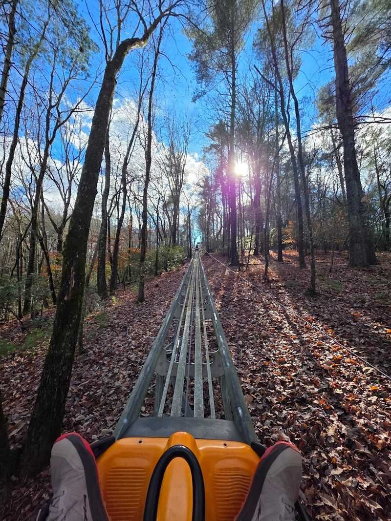 A Track That Winds Through North Georgia Woodland