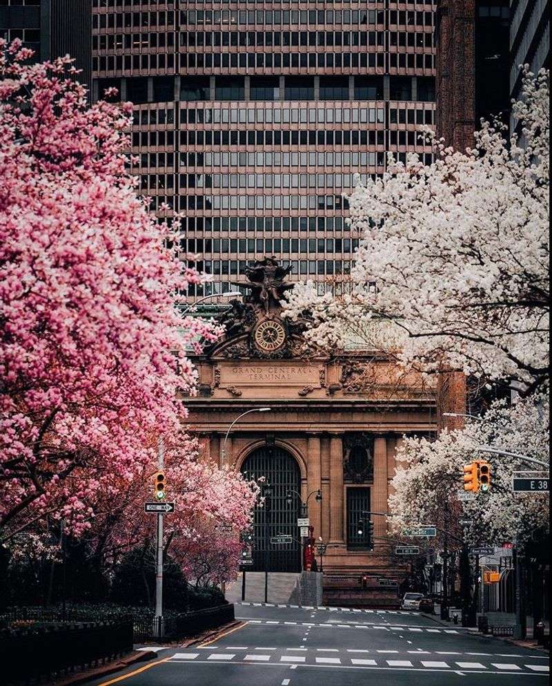 Sounds That Shape The Silence