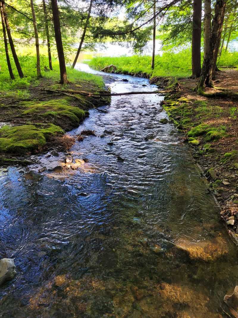 Bowman Lake State Park