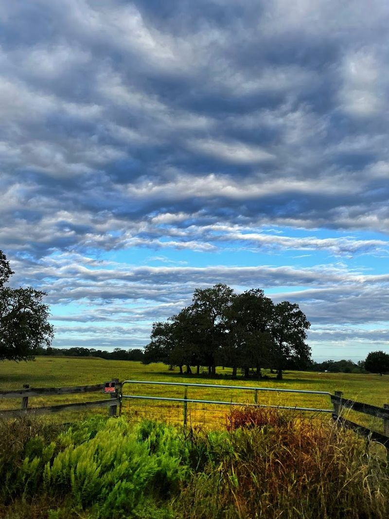 Why Round Top, Texas, Is The Ultimate Escape From City Life