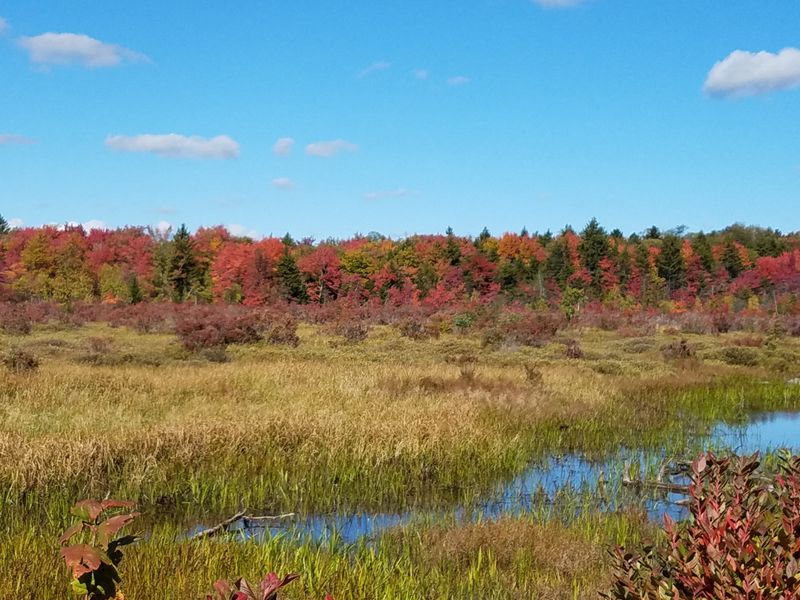 Perfect For Photographers Seeking Undisturbed Beauty