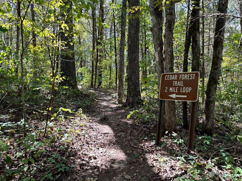 Cedars of Lebanon State Park