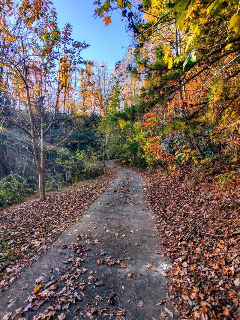 History That Prefers Front Pockets