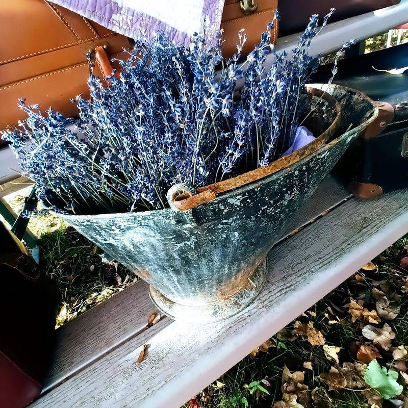 A Final Note On Pace And Place