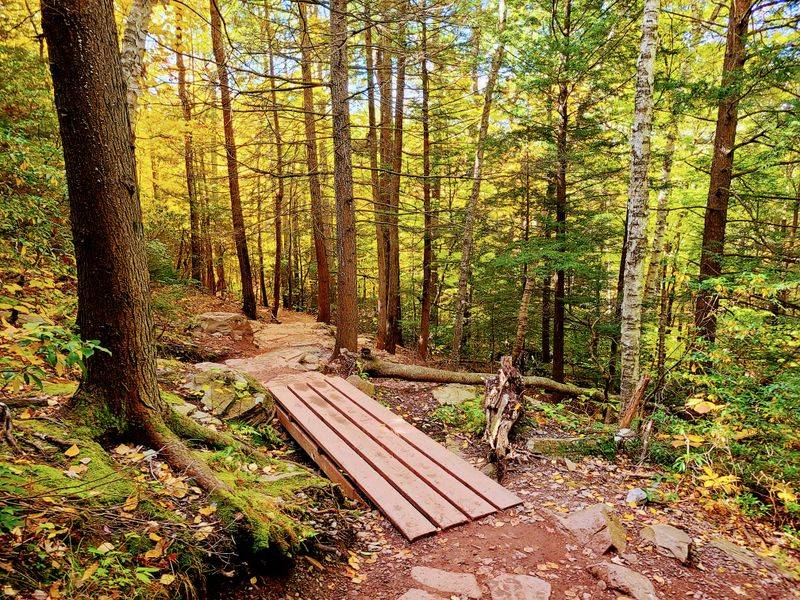 What To Pack For A Short But Memorable Stroll