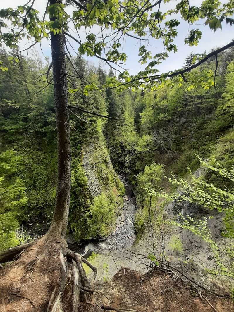 Trail Craft: Staying Upright And Content