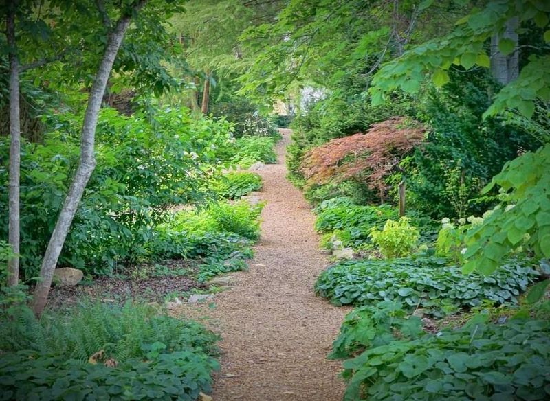 Walking Paths Suited To Every Pace And Ability